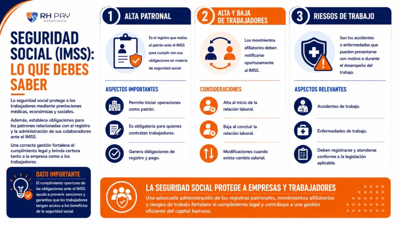 Infografía Seguridad social (IMSS): lo que debes saber, con alta patronal, alta y baja de trabajadores y riesgos de trabajo
